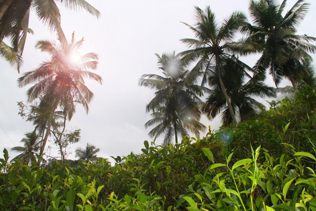 Athulya Villas, Kandy Kadugannawa Luaran gambar