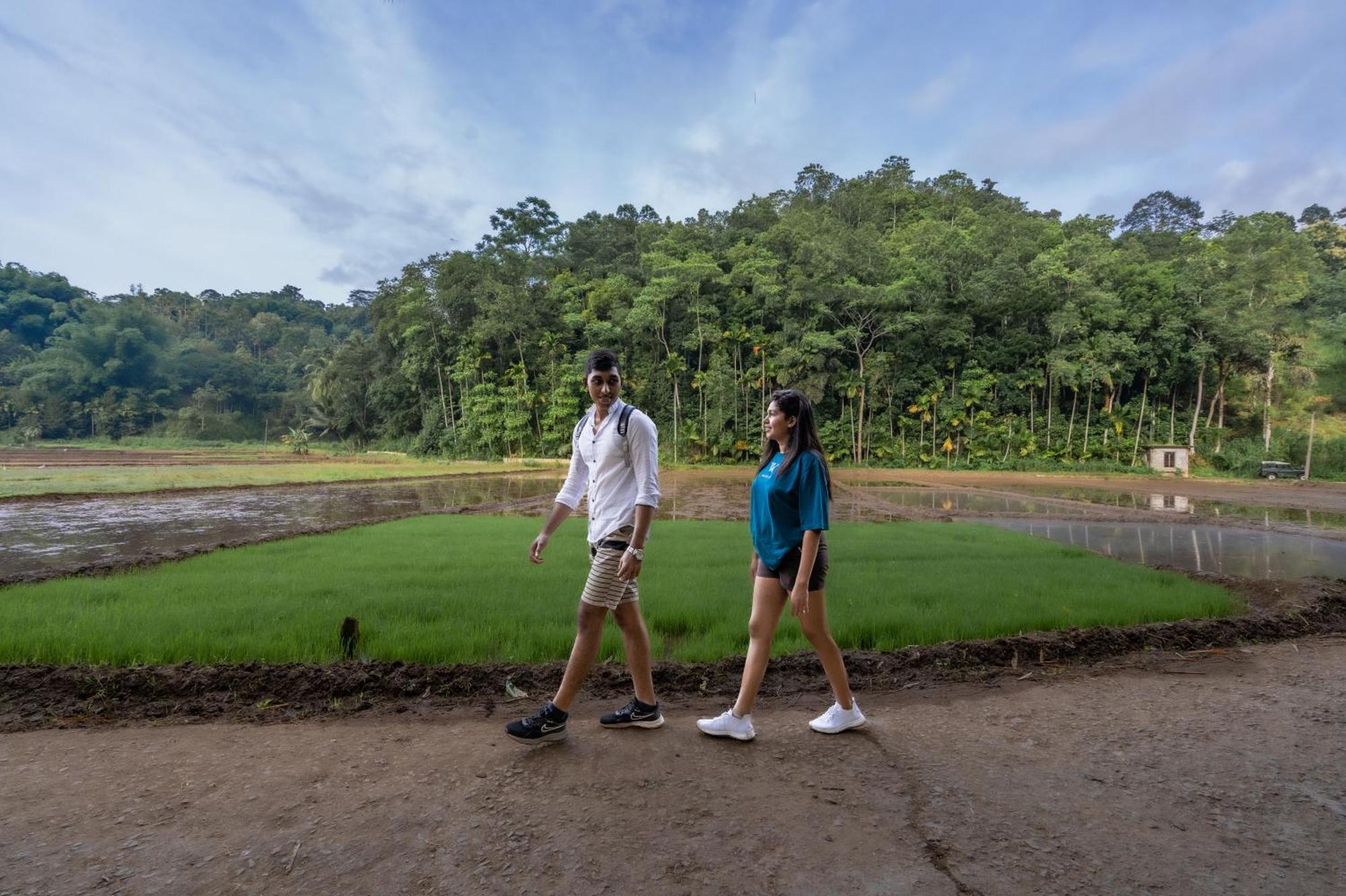 Athulya Villas, Kandy Kadugannawa Luaran gambar